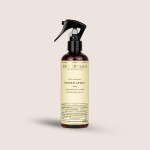 Power Spray Disinfectant - Prep Your Day Big 250ml